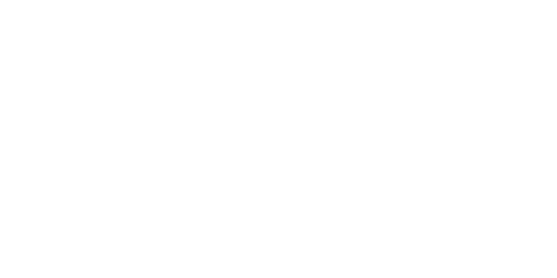 VANNI_LOGO.png